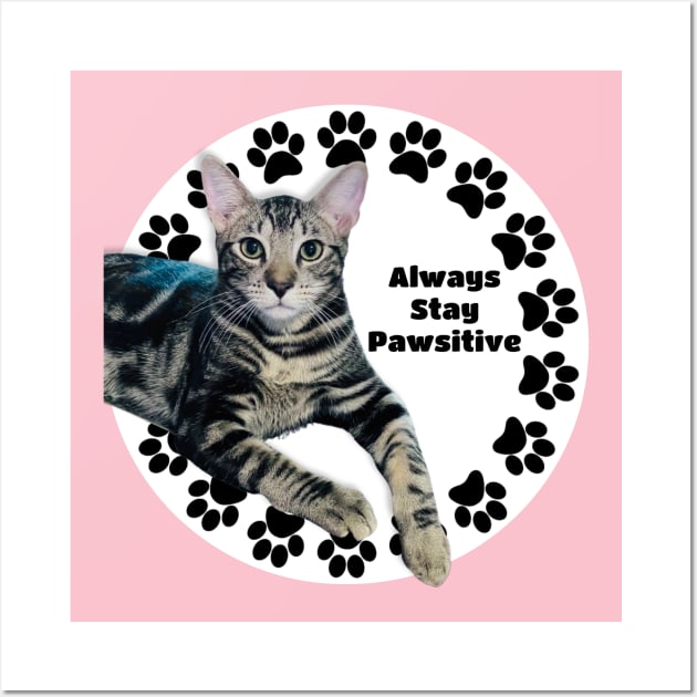 Always Stay Positive Grey Cat Wall Art by Long-N-Short-Shop